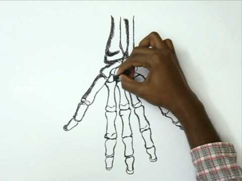 how to draw skeleton