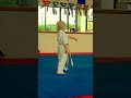 Click here to watch this video Kyle's yellow stripe kata