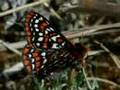Wild About Washington: May 2008