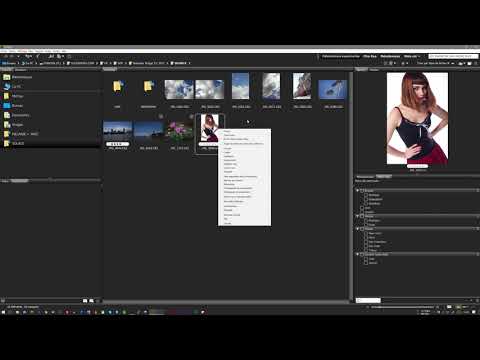 Maîtriser Bridge CC 2017 (EXTRAIT)