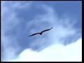 cancion de la tierra