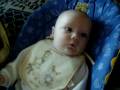 videos de Xzander eating custard