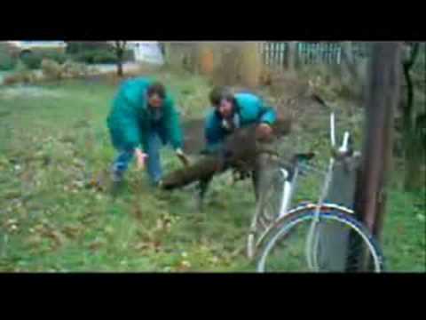 K�t r�szeg