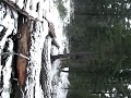 Mtn bike blip