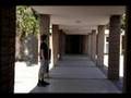Assistir ao v�deo