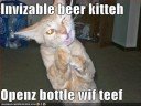 Funny Cats [VOL 3]