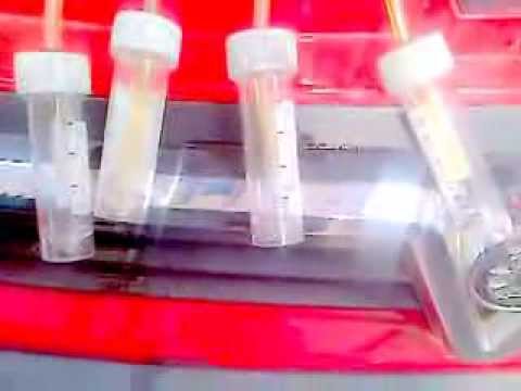 how to bleed vivaro diesel