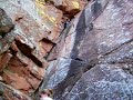 Curtly Climbing