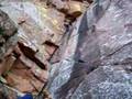 Curtly Climbing