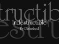 Disturbed - Indestructible Lyrics