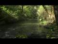 Gold Star Mining 2007 part  I
