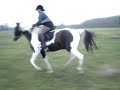 Jumping my gaited horse 1