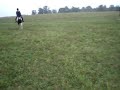 Jumping my gaited horse 1