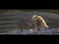 Resume Travel Reel Resume Travel Reel