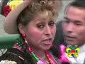 chinita cordillerana