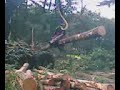 Cat 580b Eco Log van Ten bulte rondhout
