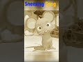 Sneezing Song  CoComelon | Nursery Rhymes & Kids | Cocomelon ABC.