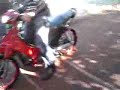 katalipsh 2009 madouki