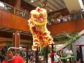 wah ngai lion dance at pearlridge
