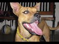 neron-la-vida-despues-de-la-vida.html