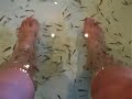 Fish Reflexology Fish Reflexology