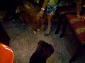 hat' cho nhau - hat' hay khong bang` hay hat' - saigon mung 2 tet xuan dinh hoi 2007 ... e^ cac' ban. oi ... dung' roi^` ban. dang coi video clip nay` do' ... bai` hat' nay` danh` cho cac' ban. do' nhe ... nam moi' tet den' xuan ve^` ... nang ly ruou mung` ... men' chuc' cac' ban. mot nam moi : 
1) van su an khang va` moi su thang' loi.
2) suc khoe? doi` dao`
3) tai` loc nhu sau:
