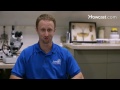 Pest Control: Will Diatomaceous Earth Work for Bed Bugs?
