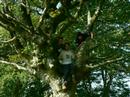 Excursion al Adarra