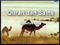 Klip Dokumentari Al Quran dan Sains - unta