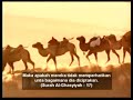 Klip Dokumentari Al Quran dan Sains - unta Klip Dokumentari Al Quran dan Sains - unta