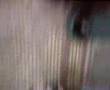 videos de MANOUSHKAAA AGAIN