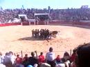 Capeia Arraiana 2007 1