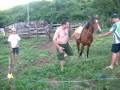 videos de Imagem 052