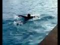 swimming
