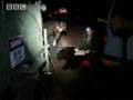 The Artful Dodger - Bear Crime - BBC Animals - YouTube