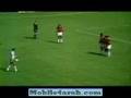 فن الفاولات