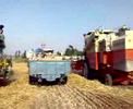Harvestor