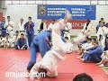 arajudo com   stage alicante 2007