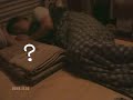 眠りネコ動画