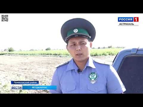 О мониторинге Россельхознадзором земель сельхозназначения в Астраханской области