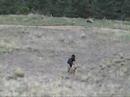 Tehya Tracking Tehya Tracking
