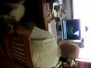 mylie-plays-with-dad.html