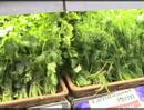 Combating Common GI Woes  Diarrhea Nutrition
