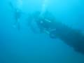 Antilla Wreck Dive, ...