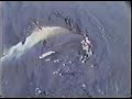 Shark finning in Costa Rica