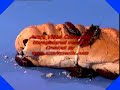 brute mia bakery & roach motel