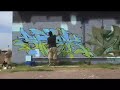 5AM Video Srek ICR Graffiti