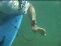 Learn to surf - lesson 10