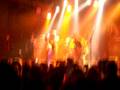 Angora Painkiller Playback