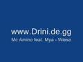 Mc Amino feat. Mya - Wieso